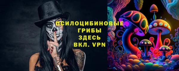таблы Алзамай